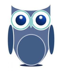 Complete Learning Owl